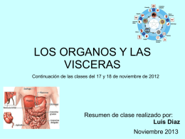 LOS ORGANOS Y LAS VISCERAS Continuación de las clases del 17 y 18 de noviembre de 2012  Resumen de clase realizado por: Luis Diaz Noviembre.