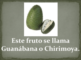 Este fruto se llama Guanábana o Chirimoya.   La Guanábana o la fruta del árbol de Graviola es un producto milagroso para matar las células cancerosas.