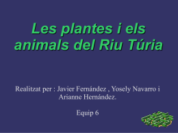 Les plantes i els animals del Riu Túria Realitzat per : Javier Fernández , Yosely Navarro i Arianne Hernández. Equip 6
