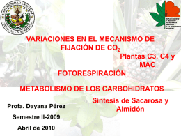 VARIACIONES EN EL MECANISMO DE FIJACIÓN DE CO2 Plantas C3, C4 y MAC FOTORESPIRACIÓN METABOLISMO DE LOS CARBOHIDRATOS Profa.