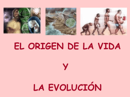 EL ORIGEN DE LA VIDA Y LA EVOLUCIÓN   1 – EL ORIGEN DE LA VIDA 1.1.- Las características de los seres vivos 1.2.- La evolución.