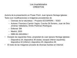 Los invertebrados CRÉDITOS  Autoría de la presentación en Power Point: Juan Ignacio Noriega Iglesias Texto (con modificaciones) e imágenes procedentes de: – Ciencias de.