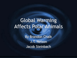 Global Warming Affects Polar Animals By Brandon Chalk J.T. Nelson Jacob Steinbach Penguins   HABITAT:  Penguins generally live on islands and remote continental regions free from land predators 