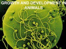 GROWTH AND DEVELOPMENT IN ANIMALS   GROWTH AND DEVELOPMENT IN ANIMALS  • • •  In the early stages of development, the organism is called embryo.