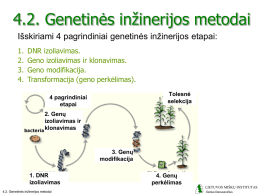 4.2. Genetinės inžinerijos metodai Išskiriami 4 pagrindiniai genetinės inžinerijos etapai: 1. 2. 3. 4.  DNR izoliavimas. Geno izoliavimas ir klonavimas. Geno modifikacija. Transformacija (geno perkėlimas). Tolesnė selekcija  4 pagrindiniai etapai 2.