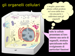 gli organelli cellulari  o meglio, quasi tutte: alcune cellule perdono nel corso della loro vita una parte o addirittura tutti gli organelli  tutte le cellule presentano al loro interno.