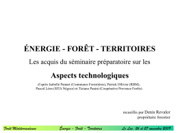 ÉNERGIE - FORÊT - TERRITOIRES Les acquis du séminaire préparatoire sur les  Aspects technologiques d’après Isabelle Pamart (Communes Forestières), Patrick Ollivier (RBM), Pascal Léon.