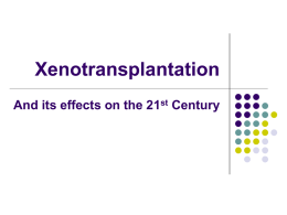 Xenotransplantation And its effects on the 21st Century   The Facts: The transplantation of a tissue or organ from one species to another       Currently too many risks.