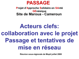 PASSAGE Projet d’Approche Solidaire en SAnté GEnésique  Site de Maroua - Cameroun  Acteurs clefs: collaboration avec le projet Passage et tentatives de mise en réseau Réunion sous-régionale de.