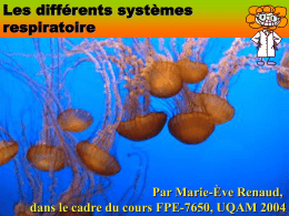 Les différents systèmes respiratoire  Par Marie-Ève Renaud, Marie-Ève Renaud, UQAM 2004 dans le cadre du cours FPE-7650, UQAM 2004