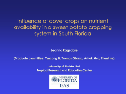 Influence of cover crops on nutrient availability in a sweet potato cropping system in South Florida Jeanna Ragsdale (Graduate committee: Yuncong Li, Thomas Obreza,