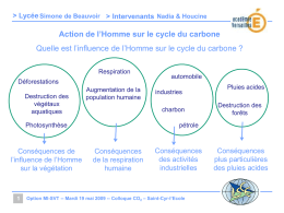 > Lycée Simone de Beauvoir > Intervenants Nadia & Houcine  Action de l’Homme sur le cycle du carbone Quelle est l’influence de.