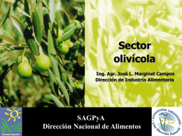 Sector olivícola Ing. Agr. José L. Marginet Campos Dirección de Industria Alimentaria  SAGPyA Dirección Nacional de Alimentos   Producción mundial Características de la producción mundial:  Producción europea con.