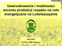 Uwarunkowania i możliwości wzrostu produkcji rzepaku na cele energetyczne na Lubelszczyźnie  Jan Kuś IUNG-PIB Puławy.