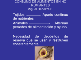 CONSUMO DE ALIMENTOS EN NO RUMIANTES Miguel Benezra S.  Tejidos Aporte continuo de nutrientes Animales Alternan períodos de alimentación y ayuno Necesidad de depósitos de reserva que se usan y.