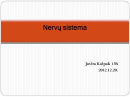 Nervų sistema  Jovita Kolpak 12B 2012.12.20.    Nervų sistemos dalys  Neuronų sandara  Neuronų rūšys  Nervinio impulso sklidimas neurone  Nervinio impulso peršokimas nuo vieno.