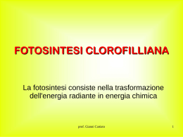 FOTOSINTESI CLOROFILLIANA  La fotosintesi consiste nella trasformazione dell'energia radiante in energia chimica  prof.