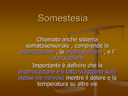 Somestesia Chiamato anche sistema somatosensoriale , comprende la esterocezione , la propriocezione , e l’ interocezione Importante è definire che la propriocezione e il tatto viaggiano.