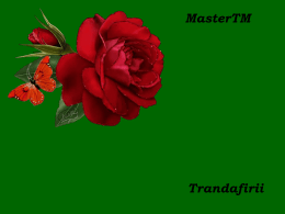 MasterTM  Trandafirii   Trandafirul este simbolul dragostei, frumusetii si perseverentei.   Arunca printre nori, in fiecare zi, cate o petala de trandafir.   ''Cel care vrea un trandafir.