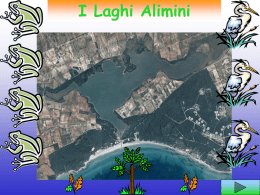 I Laghi Alimini   •Un’idea scaturita da:  Progetto di studio sui Laghi Alimini «struttura e funzione dell’ecosistema lacustre  • cosa è la struttura di un.