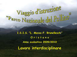 I.S.I.S. “L. Mossa-F. Brunelleschi” O r i s t a n o Anno scolastico 2009/2010  Lavoro interdisciplinare.