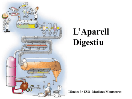 L’Aparell Digestiu  Ciències 3r ESO- Maristes Montserrat   L’aparell digestiu té la funció de realitzar la digestió : transformació dels aliments que ingerim en nutrients, o.