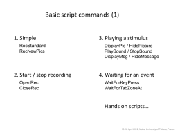 Basic script commands (1) 1. Simple RecStandard RecNewPics  2. Start / stop recording OpenRec CloseRec  3. Playing a stimulus DisplayPic / HidePicture PlaySound / StopSound DisplayMsg / HideMessage  4.
