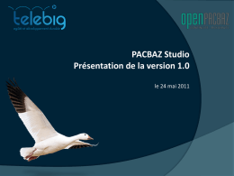 PACBAZ Studio Présentation de la version 1.0 le 24 mai 2011 TELEBIG, en quelques mots   Depuis 1983, TELEBIG est spécialisée dans la Migration,