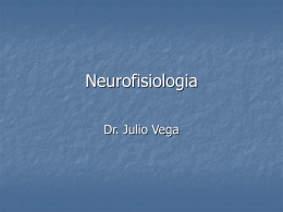 Neurofisiologia Dr. Julio Vega   NEUROFISIOLOGÍA DEL MOVIMIENTO  ESTRUCTURA DEL SISTEMA NERVIOSO  ORGANIZACIÓN FUNCIONAL DEL SISTEMA MOTOR   ESTRUCTURA DEL SISTEMA NERVIOSO SISTEMA NERVIOSO CENTRAL  - ENCÉFALO  CEREBRO CEREBELO  TRONCO CEREBRAL - MÉDULA ESPINAL  SISTEMA.