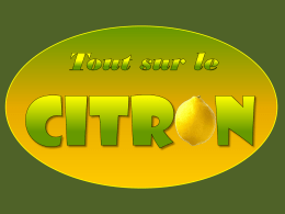 Le citron était autrefois appelé limon, nom de l’italien limone, de l’espagnol lima, de l’arabe laymûn, du persan limou, du sanscrit nimbú. Son.