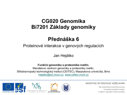 CG020 Genomika Bi7201 Základy genomiky Přednáška 6 Proteinové interakce v genových regulacích Jan Hejátko Funkční genomika a proteomika rostlin, Mendelovo centrum genomiky a proteomiky rostlin, Středoevropský technologický.