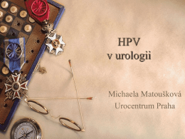 HPV v urologii Michaela Matoušková Urocentrum Praha   HPV      nejčastější STD na světě  5.5 MIO nových případů /rok (USA) > 100 typů HPV cca 30 typů HPV -