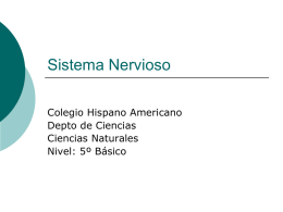 Sistema Nervioso Colegio Hispano Americano Depto de Ciencias Ciencias Naturales Nivel: 5º Básico   Función     Direccionar las funciones vitales de nuestro organismo al controlar cada órgano y cada sistema.