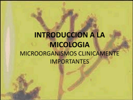 INTRODUCCION A LA MICOLOGIA MICROORGANISMOS CLINICAMENTE IMPORTANTES   DEFINICION  La micología (del griego μύκη, hongo, y λογία, tratado, estudio) es una subdisciplina de la microbiologìa que se dedica.