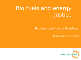 Bio fuels and energy justice Between potentials and realities Maria Arce Moreira   The Global Challenge Billions of women and men lack access to services and fundamental needs 