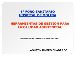 1º FORO SANITARIO HOSPITAL DE MOLINA HERRAMIENTAS DE GESTIÓN PARA LA CALIDAD ASISTENCIAL  13 DE MAYO DE 2008 MOLINA DE SEGURA  AGUSTÍN RIVERO CUADRADO   UN MODELO.