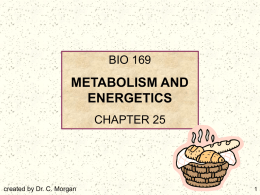 BIO 169  METABOLISM AND ENERGETICS CHAPTER 25  created by Dr. C. Morgan   TOPICS  Introduction and Overview Carbohydrate Metabolism  Lipid Metabolism Protein Metabolism Nucleic Acid Metabolism  Metabolic Interactions Diet and Nutrition Bioenergetics   Introduction and Overview.