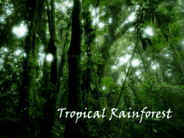 Location of Tropical Rainforest Tropical Rainforest biomes are found in the lower latitudes, around the equator. Some places you will find Tropical Rainforest are in.