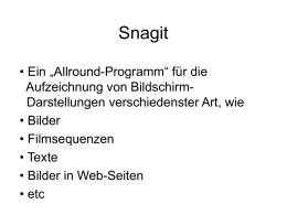 Snagit • Ein „Allround-Programm“ für die Aufzeichnung von BildschirmDarstellungen verschiedenster Art, wie • Bilder • Filmsequenzen • Texte • Bilder in Web-Seiten • etc   Aufbau der Präsentation • Teil.