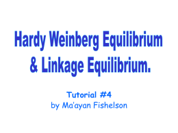 Tutorial #4 by Ma’ayan Fishelson   Hardy-Weinberg equilibrium A||a  Other Possibilities: (a||A), (A||A),(a||a)  What is the probability that a person chosen at random from the population would.