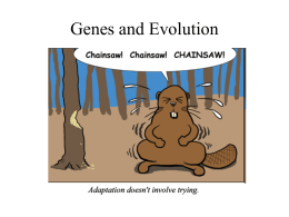 Genes and Evolution What is a Population? • Populations Evolve. • Populations are groups of interbreeding individuals that live in the same place.