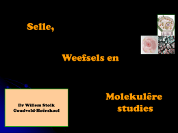 Selle, Weefsels en  Dr Willem Stolk Goudveld-Hoërskool  Molekulêre studies   Na afloop van die afdeling moet jy die volgende uitkomste bereik: • Ten volle met die bou en funksies.