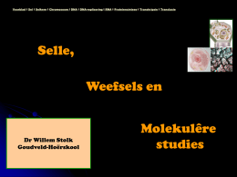 Voorblad I Sel I Selkern I Chromosoom I DNA I DNA-replisering I RNA I Proteïensintese I Transkripsie I Translasie  Selle, Weefsels en  Dr.