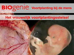Voortplanting bij de mens  Het vrouwelijk voortplantingsstelsel   Welke organen kunnen we waarnemen? (1)  We kunnen organen uitwendig waarnemen. Organen Functie organen  De eicel Weg van de eicel  Uitgang urinebuis Clitoris  Andere.