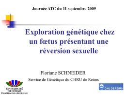 Journée ATC du 11 septembre 2009  Exploration génétique chez un fœtus présentant une réversion sexuelle Floriane SCHNEIDER Service de Génétique du CHRU de Reims.