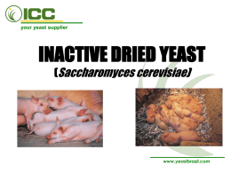 your yeast supplier  INACTIVE DRIED YEAST (Saccharomyces cerevisiae)  www.yeastbrazil.com   your yeast supplier  DEFINITION • Inactive Dried Yeast, Brewer’s Yeast and Molasses Yeast are all the same ingredient,
