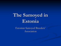 The Samoyed in Estonia Estonian Samoyed Breeders’ Association   EE LT LV BALT JCH, EE LV FIN LT RUS CH, CIB BALT JW06, BALT W06, NORD.