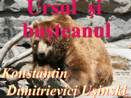 Ursul şi buşteanul Konstantin Dimitrievici Uşinski  Adina Livia Chirila Zalău , Sălaj   Merge ursul prin pădure şi adulmecă: n-ar putea oare să se pricopsească cu ceva deale gurii?   Deodată simte că e rost.