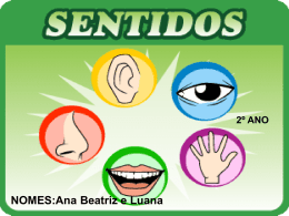 2&ordm; ANO  NOMES:Ana Beatriz e Luana OLFATO &Oacute;RG&Atilde;O  O gato cheira a planta com o nariz.