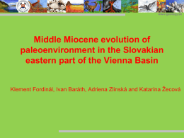 www.geology.sk  Middle Miocene evolution of paleoenvironment in the Slovakian eastern part of the Vienna Basin Klement Fordinál, Ivan Baráth, Adriena Zlinská and Katarína Žecová   www.geology.sk  Vienna.